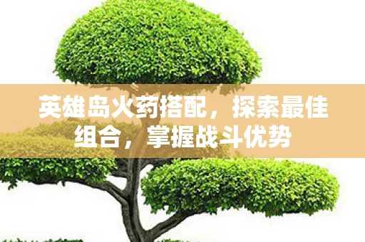 英雄岛火药搭配图片