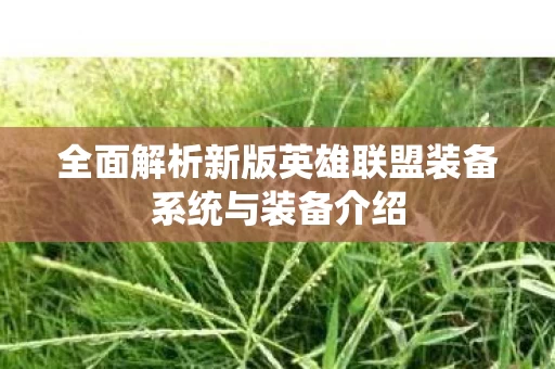全面解析新版英雄联盟装备系统与装备介绍图片