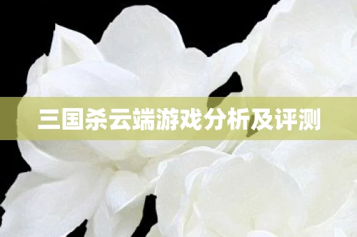 三国杀云端游戏分析及评测图片