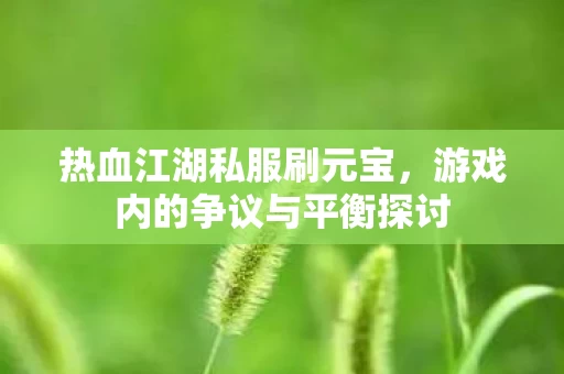 游戏内的争议与平衡探讨图片