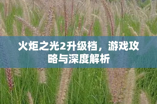 游戏攻略与深度解析图片