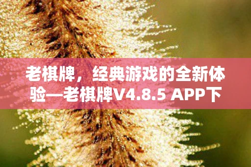 老棋牌，经典游戏的全新体验—老棋牌V4.8.5 APP下载