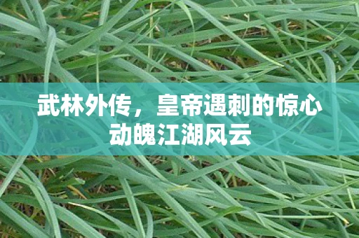 武林外传，皇帝遇刺的惊心动魄江湖风云