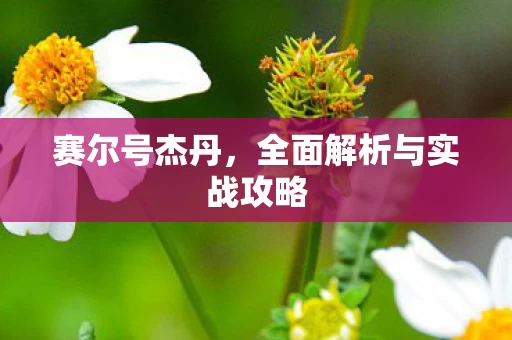 全面解析与实战攻略图片