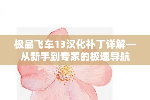 极品飞车13汉化补丁详解图片