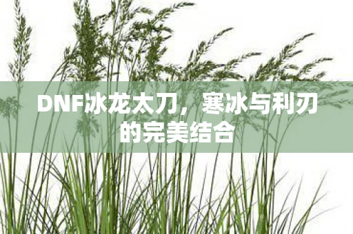 DNF冰龙太刀，寒冰与利刃的完美结合
