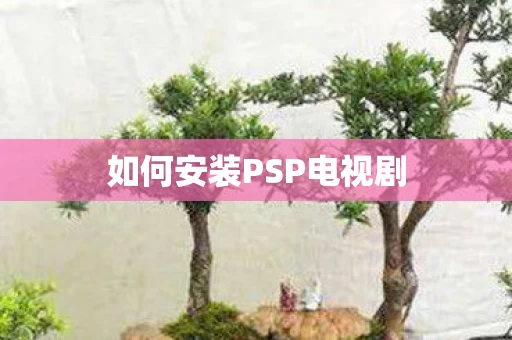 如何安装PSP电视剧图片