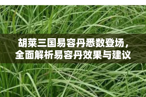 全面解析易容丹效果与建议图片