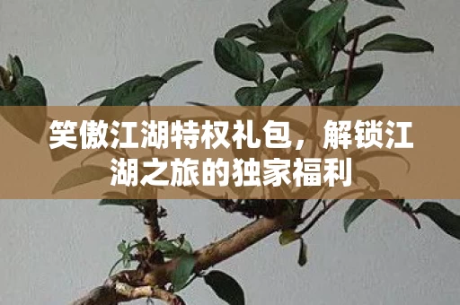 解锁江湖之旅的独家福利图片
