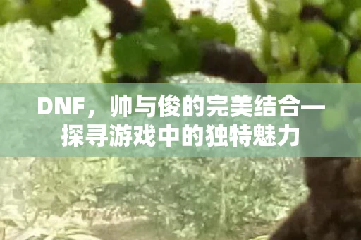 探寻游戏中的独特魅力图片
