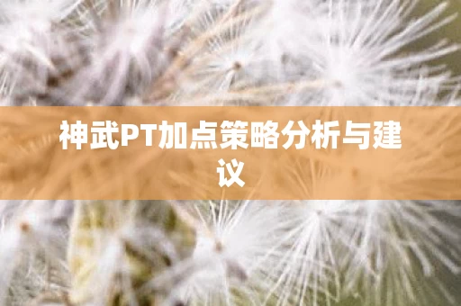 神武PT加点策略分析与建议图片