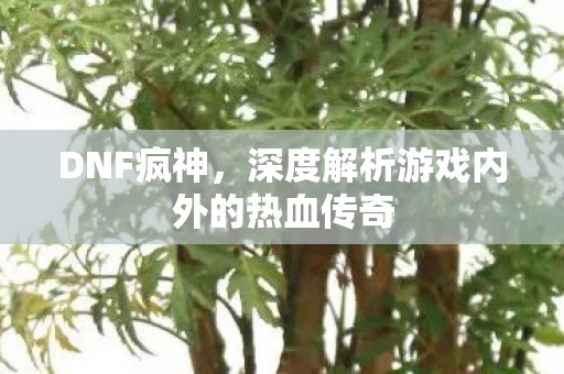 深度解析游戏内外的热血传奇图片