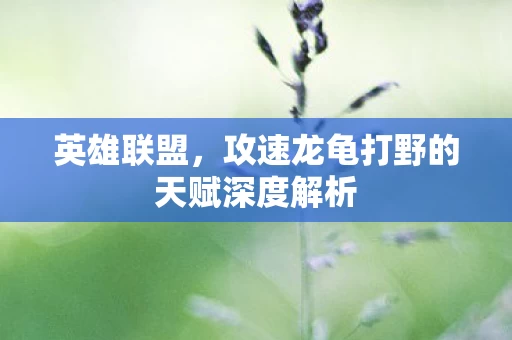 攻速龙龟打野的天赋深度解析图片