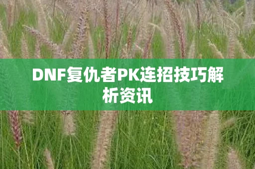 DNF复仇者PK连招技巧解析资讯图片