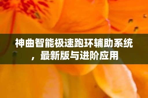 神曲智能极速跑环辅助系统，最新版与进阶应用