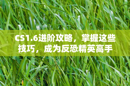 CS1.6进阶攻略，掌握这些技巧，成为反恐精英高手
