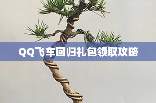 QQ飞车回归礼包领取攻略图片