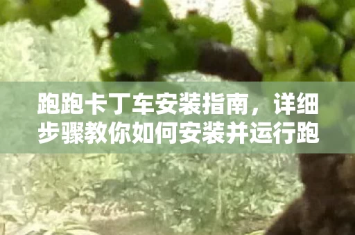 详细步骤教你如何安装并运行跑跑卡丁车图片