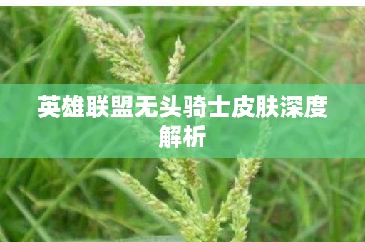 英雄联盟无头骑士皮肤深度解析图片