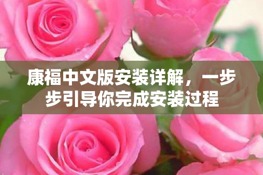康福中文版安装详解，一步步引导你完成安装过程