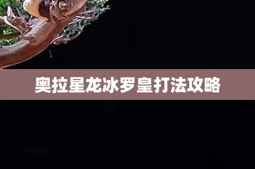 奥拉星龙冰罗皇打法攻略