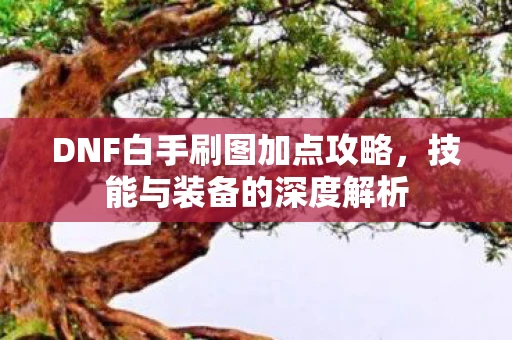 DNF白手刷图加点攻略，技能与装备的深度解析