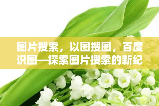 探索图片搜索的新纪元图片