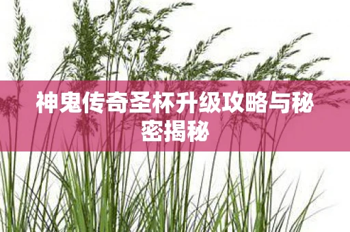 神鬼传奇圣杯升级攻略与秘密揭秘