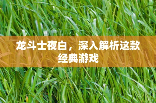 龙斗士夜白，深入解析这款经典游戏