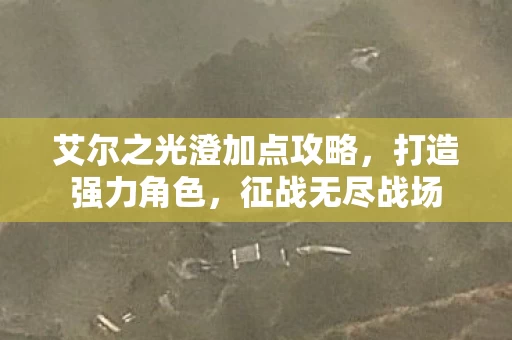 艾尔之光澄加点攻略图片