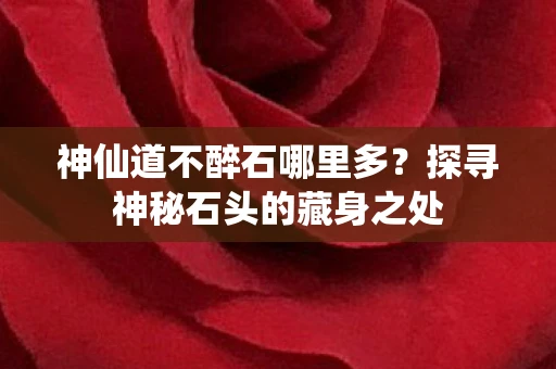 神仙道不醉石哪里多？探寻神秘石头的藏身之处