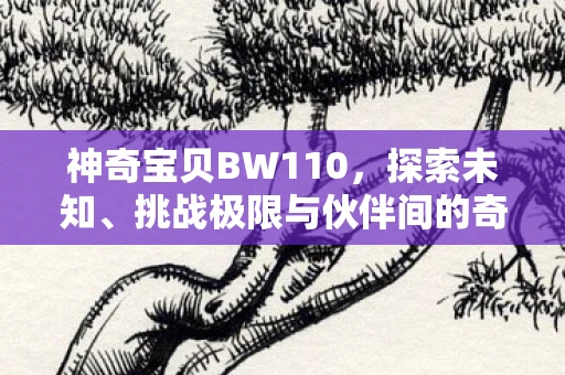 神奇宝贝BW110，探索未知、挑战极限与伙伴间的奇妙冒险