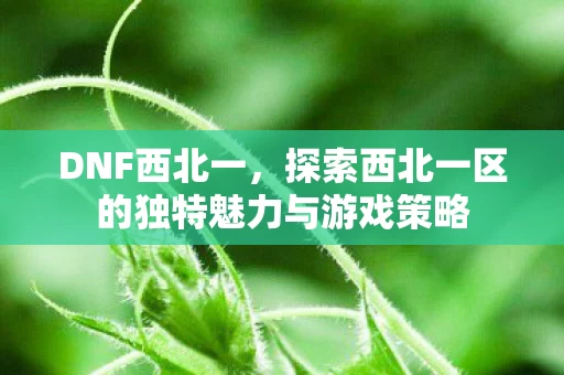 探索西北一区的独特魅力与游戏策略图片