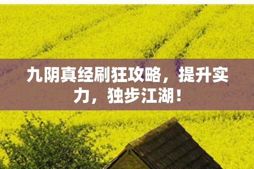 九阴真经刷狂攻略，提升实力，独步江湖！