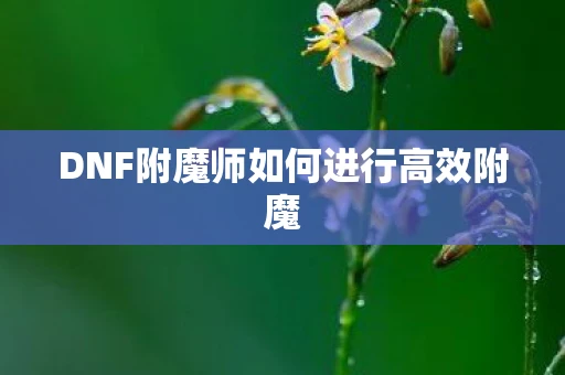 DNF附魔师如何进行高效附魔