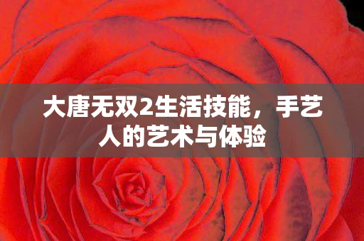 大唐无双2生活技能，手艺人的艺术与体验