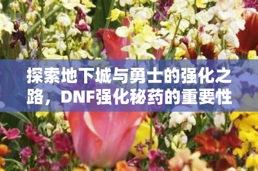 探索地下城与勇士的强化之路，DNF强化秘药的重要性