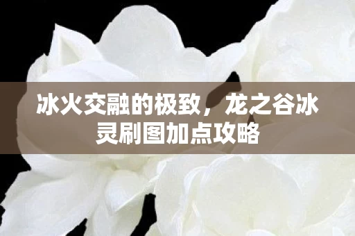 龙之谷冰灵刷图加点攻略图片