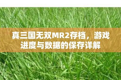 游戏进度与数据的保存详解图片