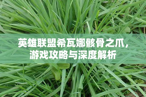 英雄联盟希瓦娜骸骨之爪，游戏攻略与深度解析