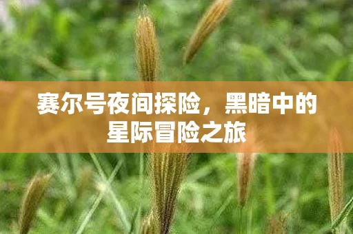 黑暗中的星际冒险之旅图片