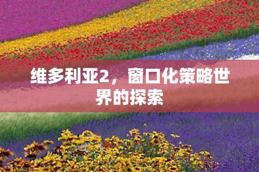 窗口化策略世界的探索图片