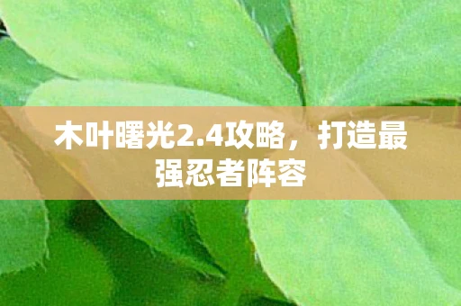木叶曙光2.4攻略，打造最强忍者阵容