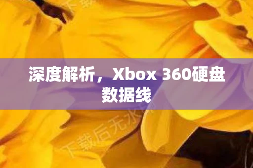 Xbox 360硬盘数据线图片