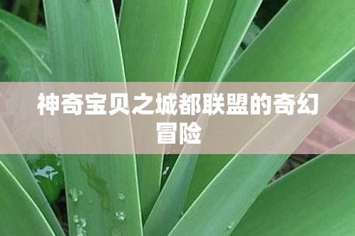 神奇宝贝之城都联盟的奇幻冒险图片