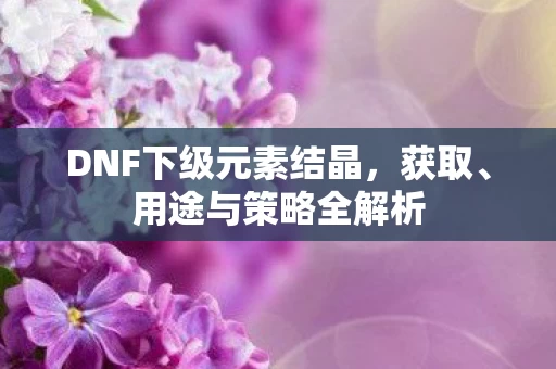 DNF下级元素结晶图片