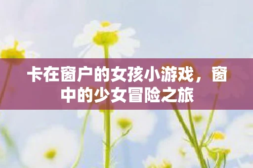 卡在窗户的女孩小游戏，窗中的少女冒险之旅