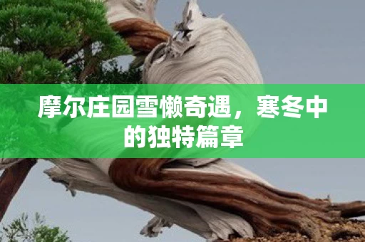摩尔庄园雪懒奇遇图片