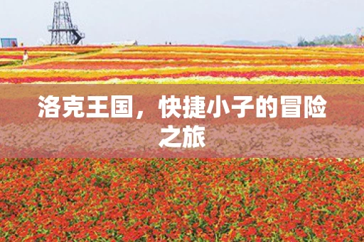 快捷小子的冒险之旅图片