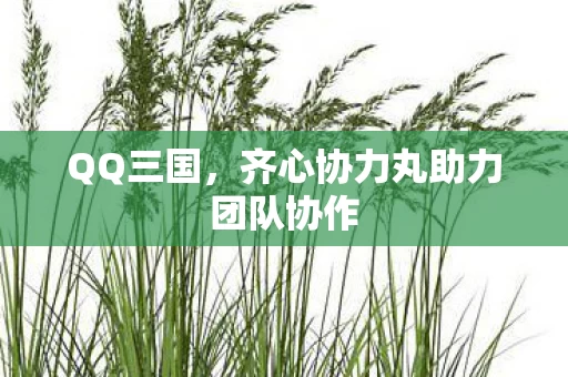 齐心协力丸助力团队协作图片